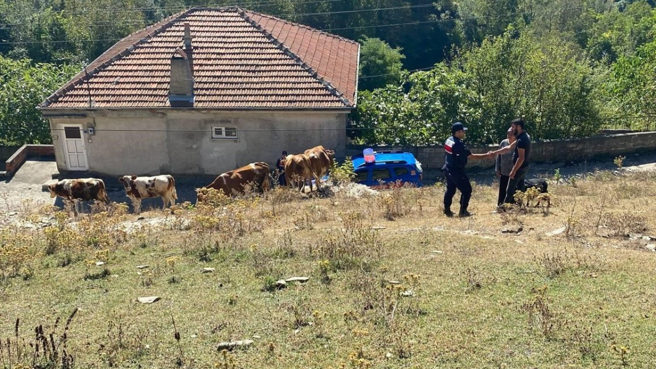 Vatandaşın kayıp hayvanlarını jandarma buldu