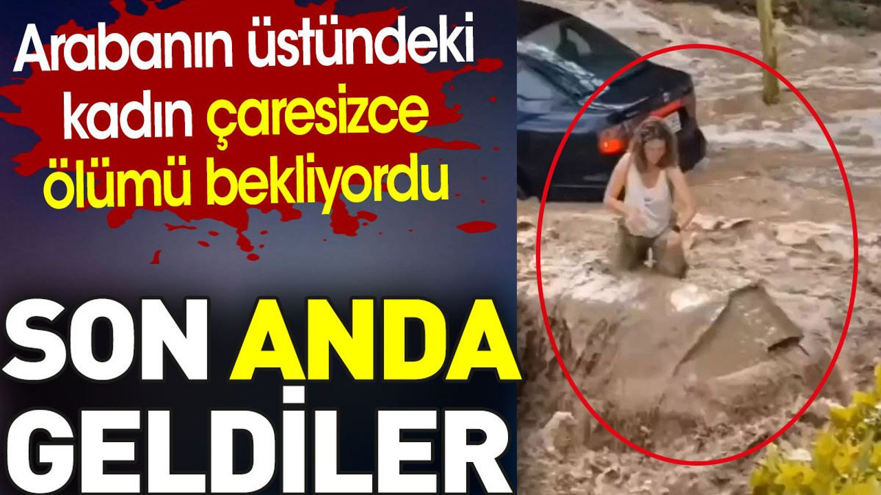 Son anda geldiler. Arabanın üstündeki kadın çaresizce ölümü bekliyordu