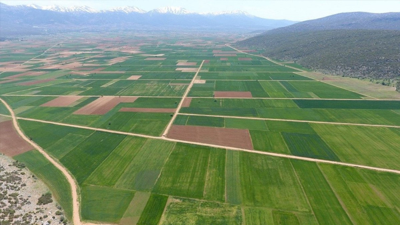 Arsanız bu 10 ilden birindeyse devlet el koyabilir. Resmi Gazete'de yayınlandı