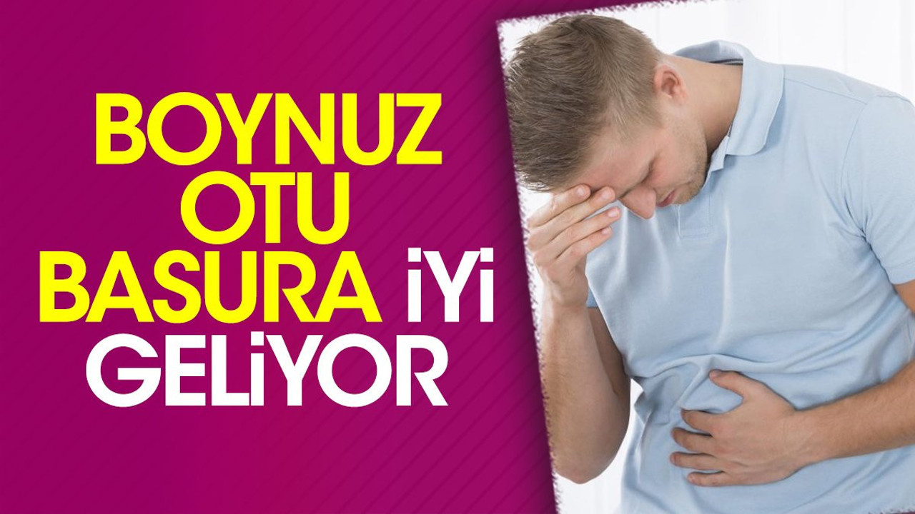 Basura iyi gelen mucize ot