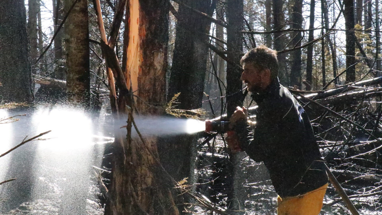 Bolu-Ankara sınırında çıkan orman yangını kontrol altına alındı