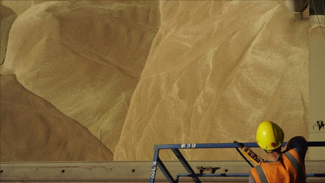 Ukrayna Kenya'ya tahıl merkezi kuracak