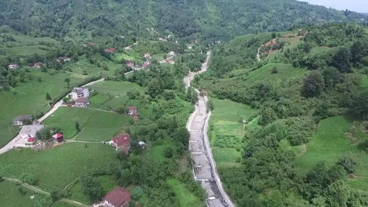 Artvin'de sahibini ısıran köpek kuduz çıktı. 3 köy karantinaya alındı