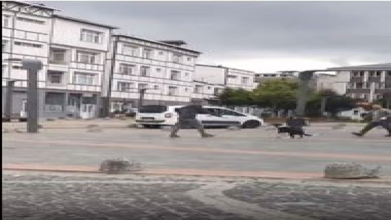 Köpeklerin boynuna ip bağlayıp sürüklediler. Belediye görevlileri bunu yaparsa