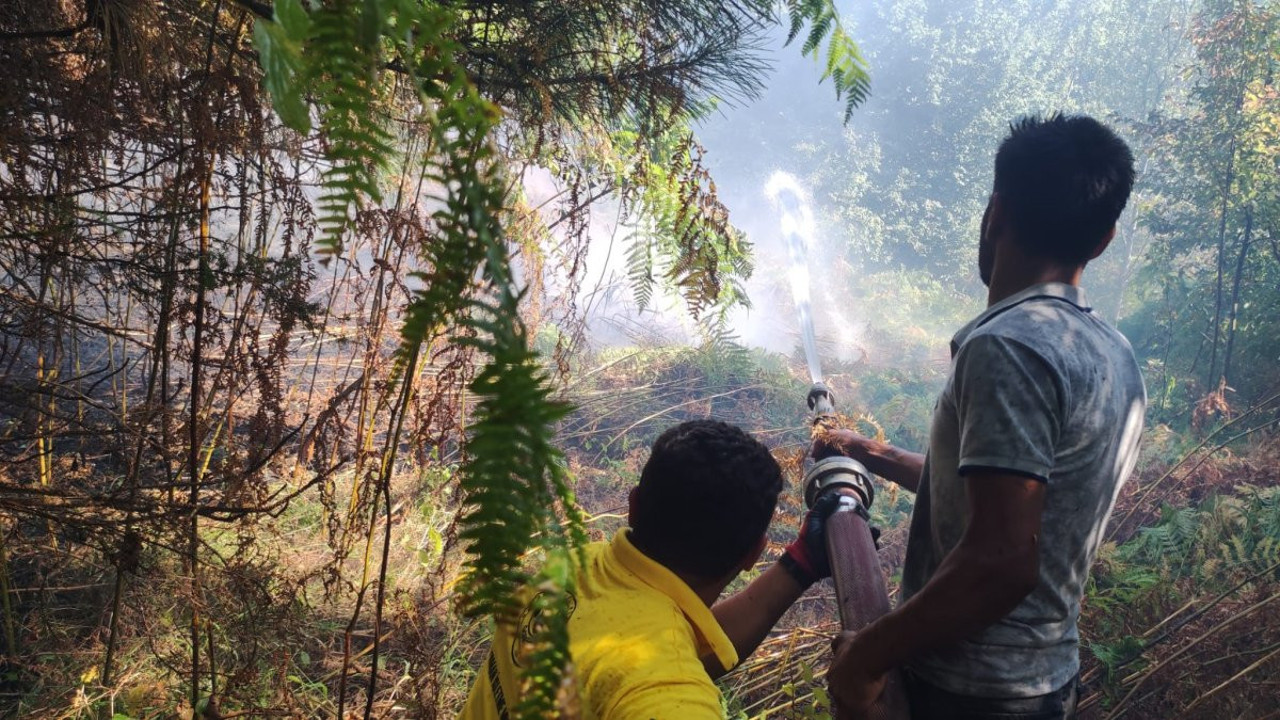 Kastamonu'daki orman yangını büyümeden söndürüldü