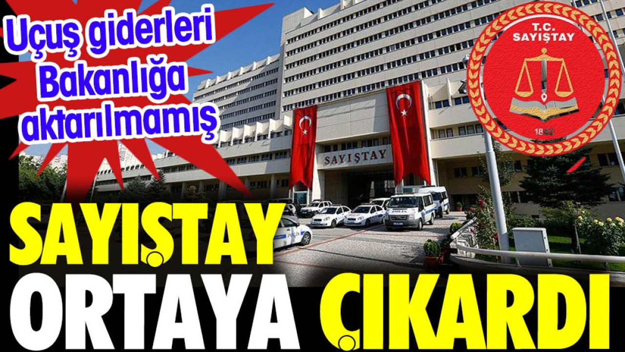 Uçuş giderleri bakanlığa aktarılmamış. Sayıştay ortaya çıkardı.