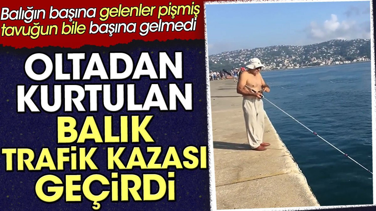 Oltadan kurtulan balık trafik kazasında öldü