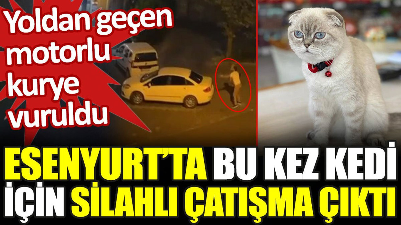 Esenyurt'ta bu kez kedi için silahlı çatışma çıktı. Yoldan geçen motorlu kurye vuruldu