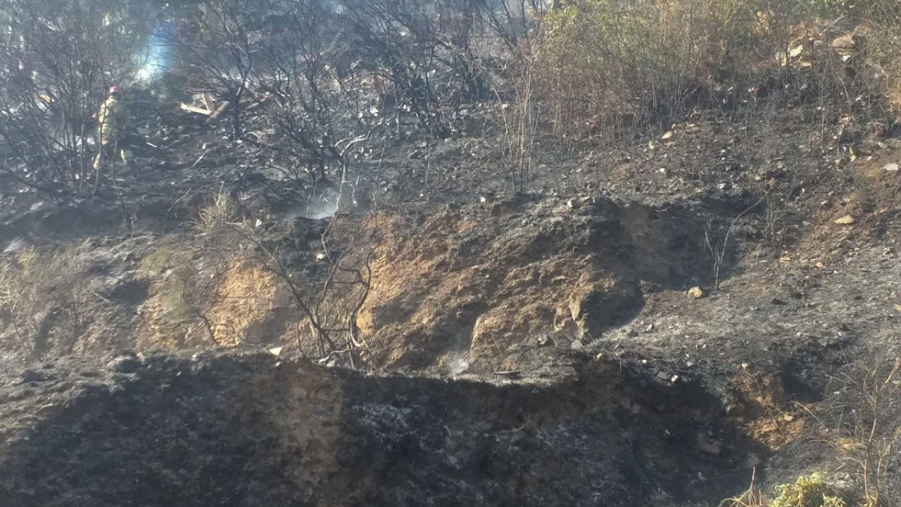 Pendik'te otluk alanda yangın