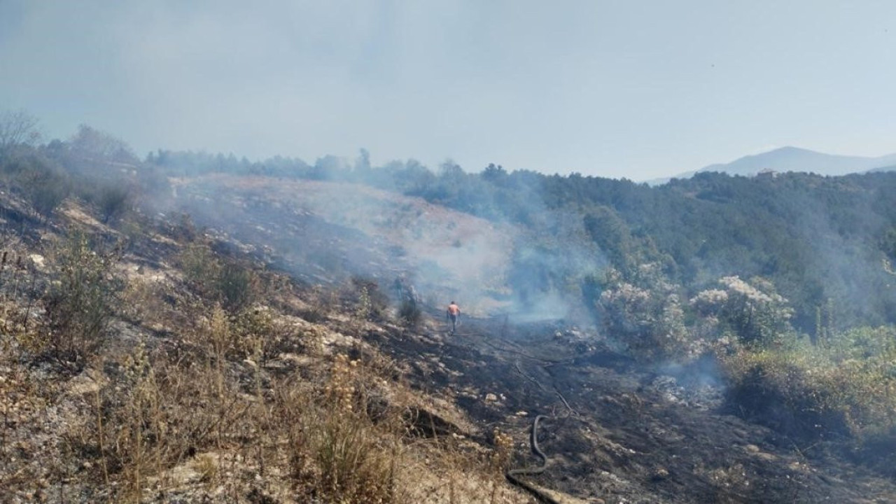 Alaplı’da 10 dönüm fındık bahçesi yandı