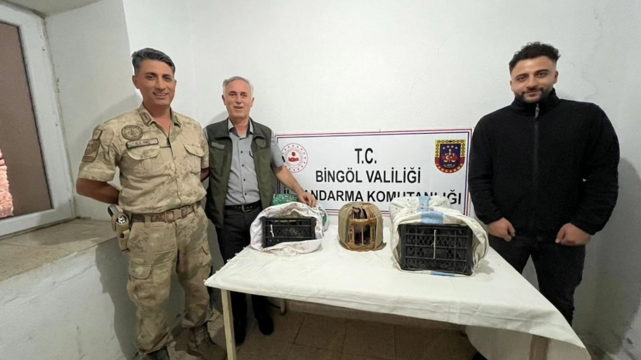 Yasa dışı keklik avlayanlara ceza yağdı