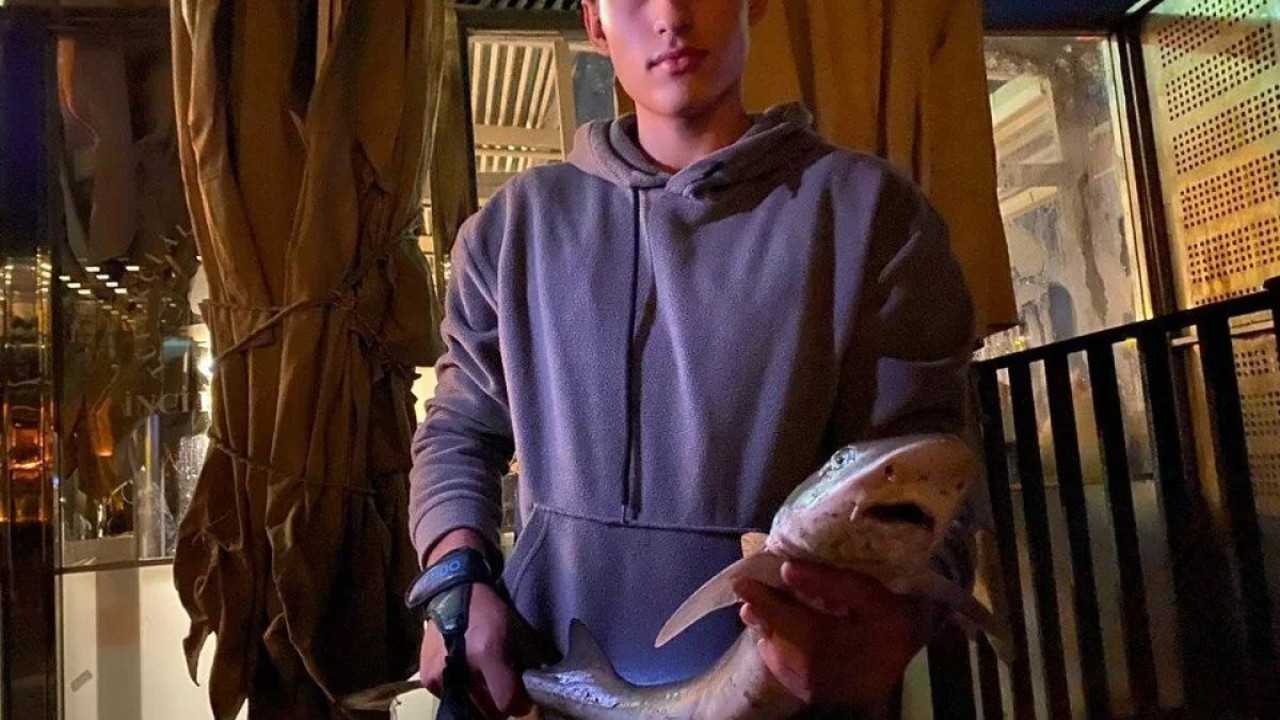 Oltaya yavru köpek balığı takıldı. İstanbullular dikkat