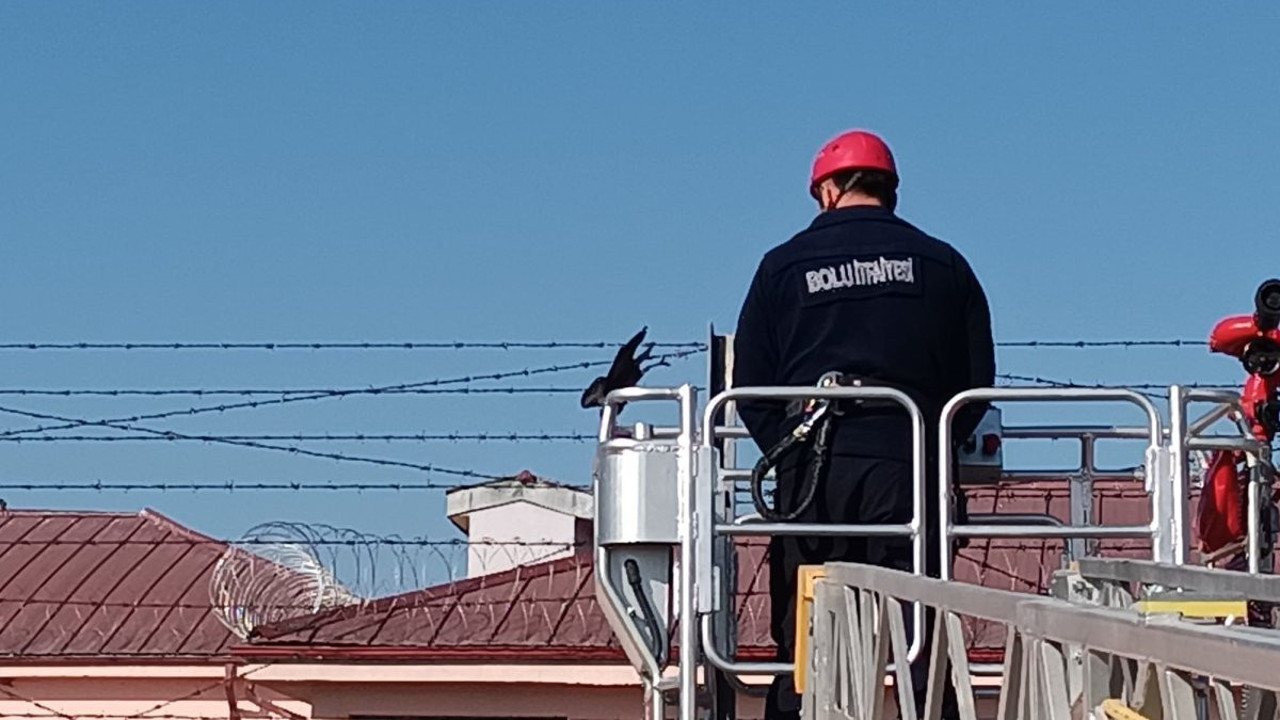 Bahçe tellerine takılan kargayı itfaiye kurtardı