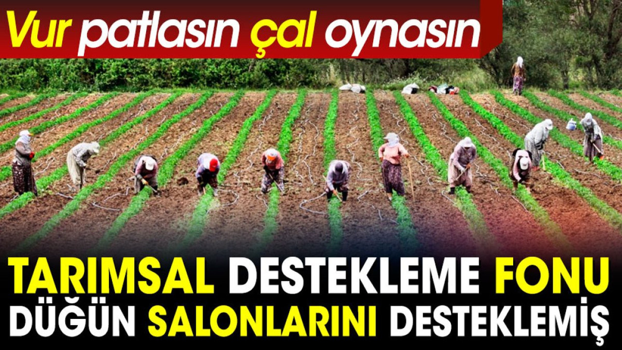 Tarımsal Destekleme Fonu düğün salonlarını desteklemiş