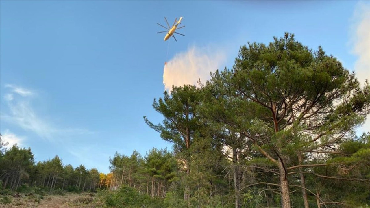 Hatay'da orman yangını (26 Eylül 2023)