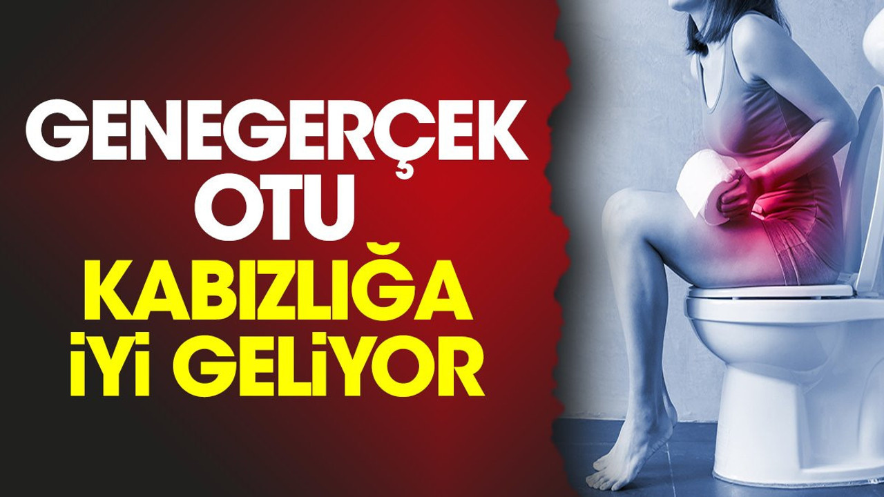 Kabızlığa iyi gelen bitki (27 Eylül 2023)