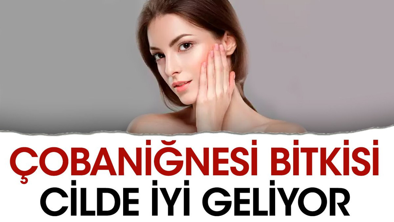 Cilde iyi geliyor. Faydaları dikkat çeken mucize ot