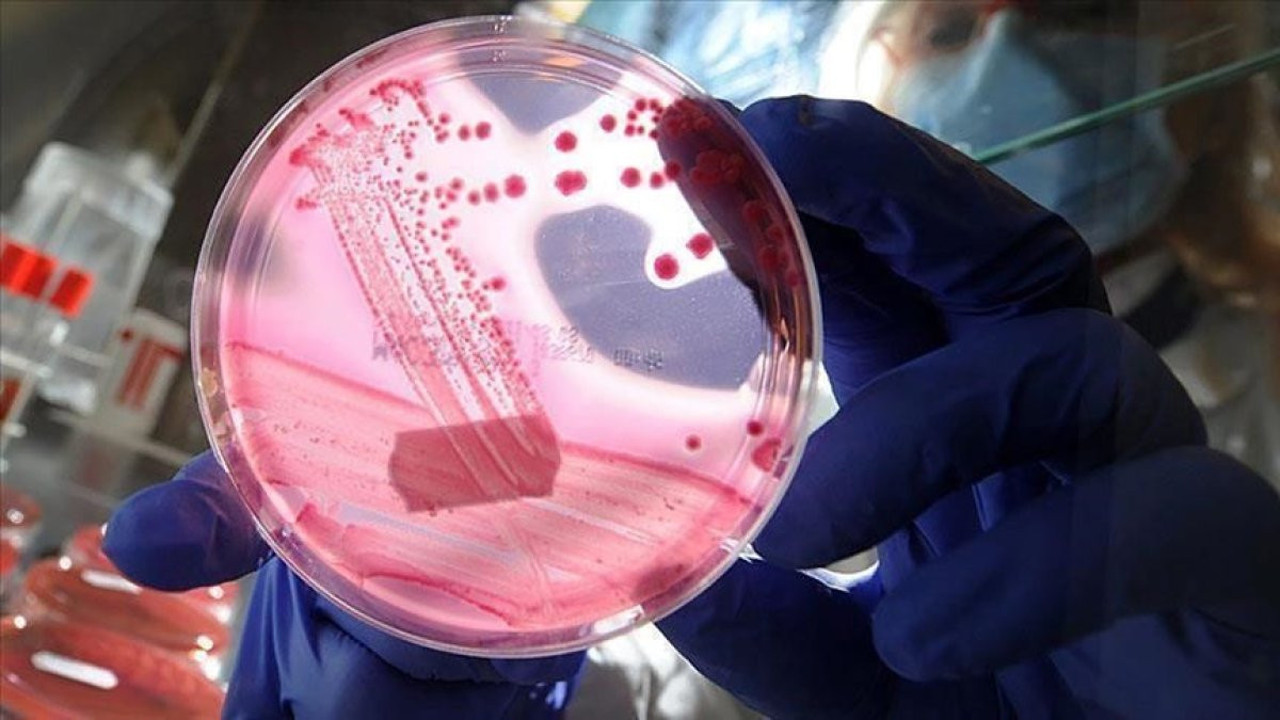 Uluslararası yumurtalık kanseri uygulaması Türkçe olacak