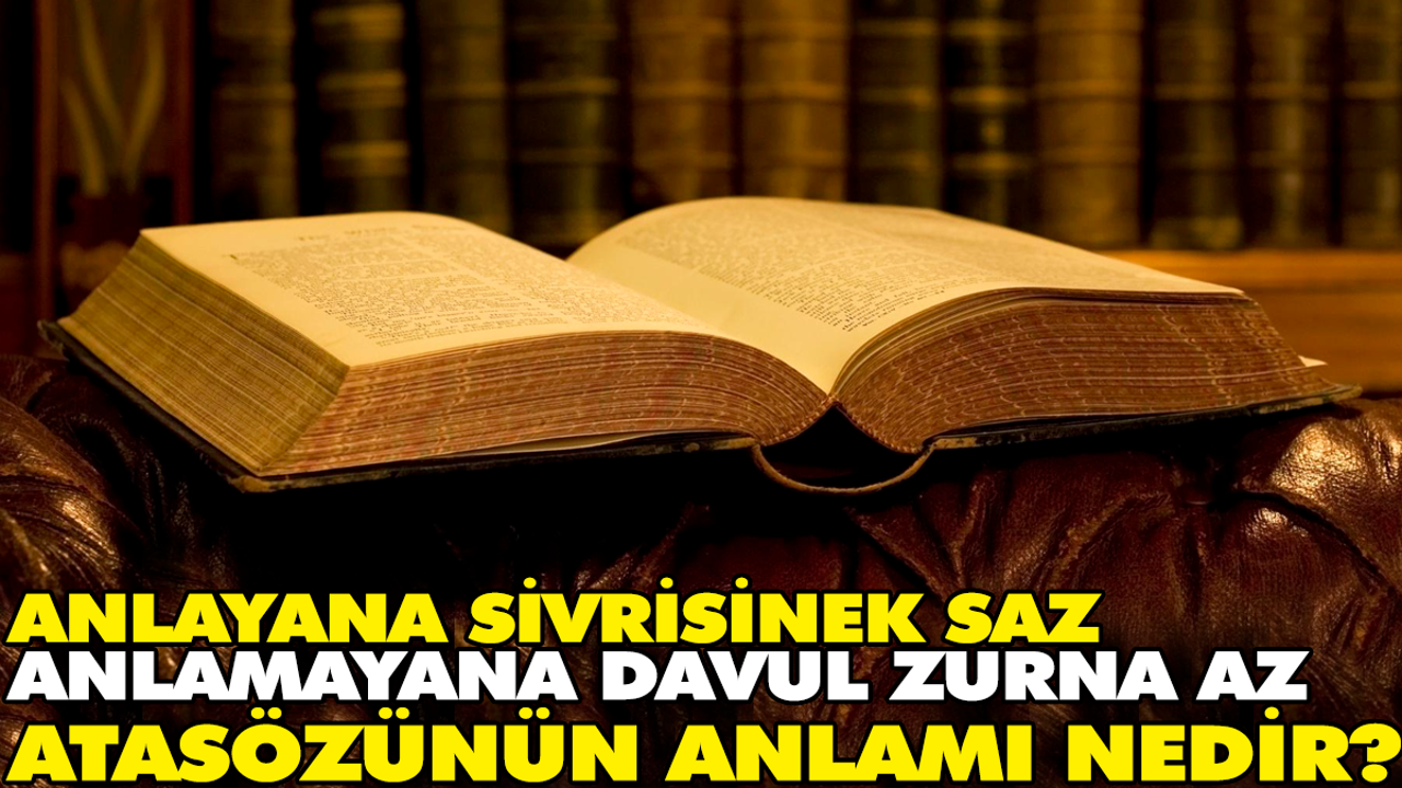 Anlayana sivrisinek saz anlamayana davul zurna az atasözünün anlamı nedir?