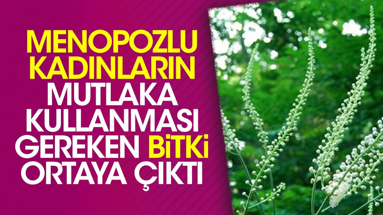 Menopozlu kadınların mutlaka kullanması gereken bitki ortaya çıktı