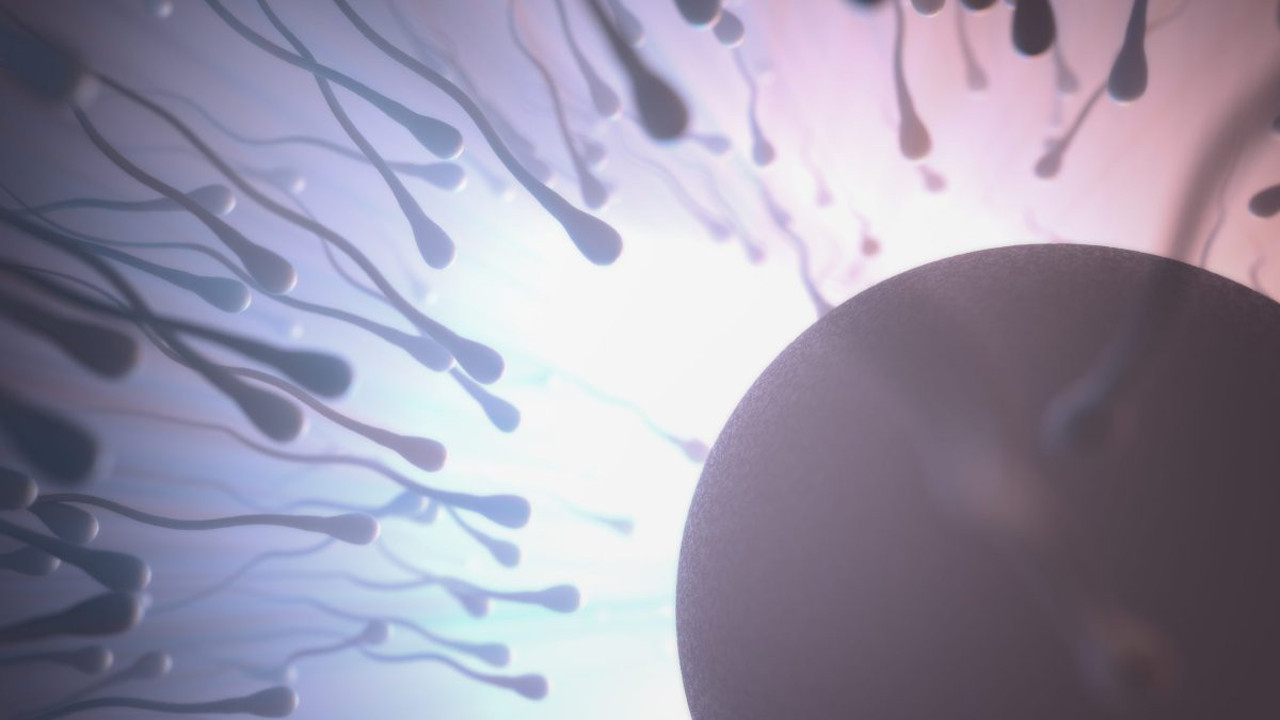 Kısırlığın sonu mu geliyor