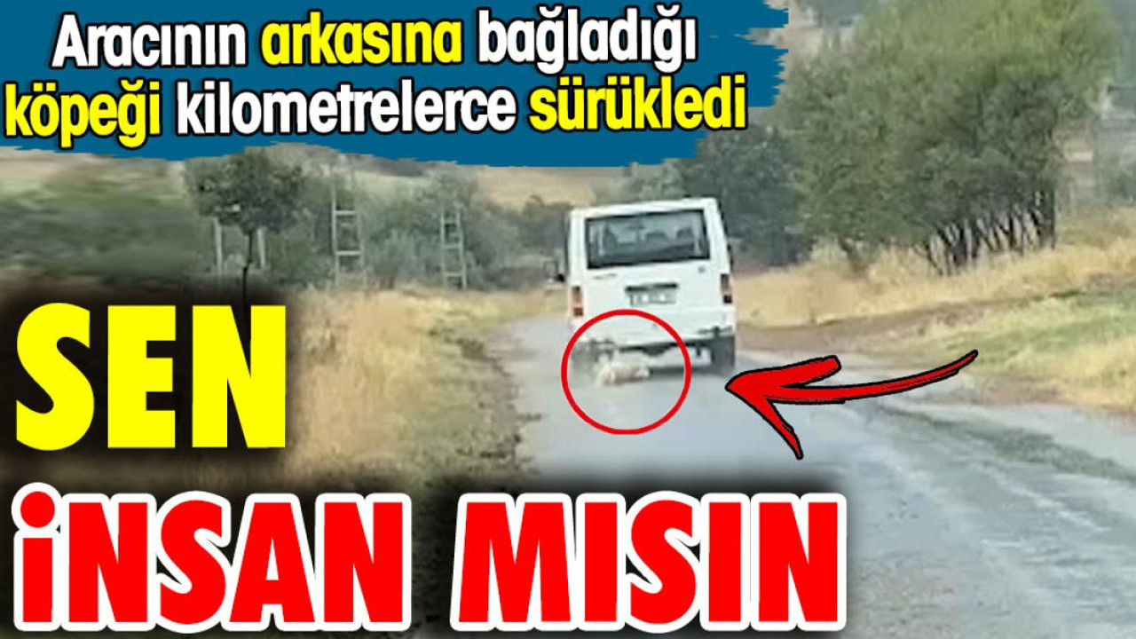 Sen insan mısın? Aracının arkasına bağladığı köpeği kilometrelerce sürükledi