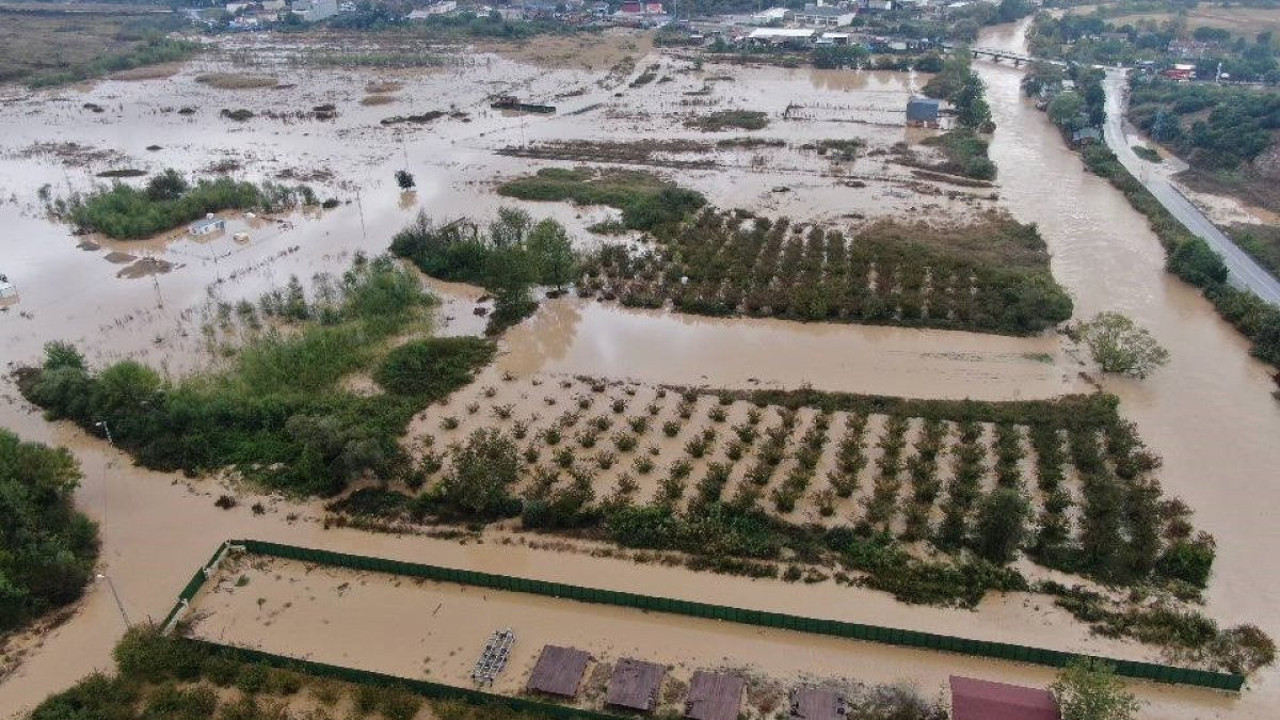 Şile kabusu yaşıyor. Dere taştı evler ve tarım arazileri sular altında kaldı