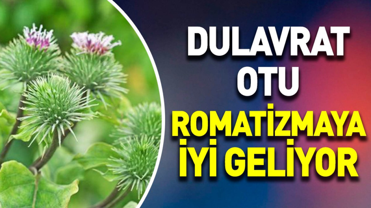 Romatizmaya iyi gelen ot (03 Ekim 2023)