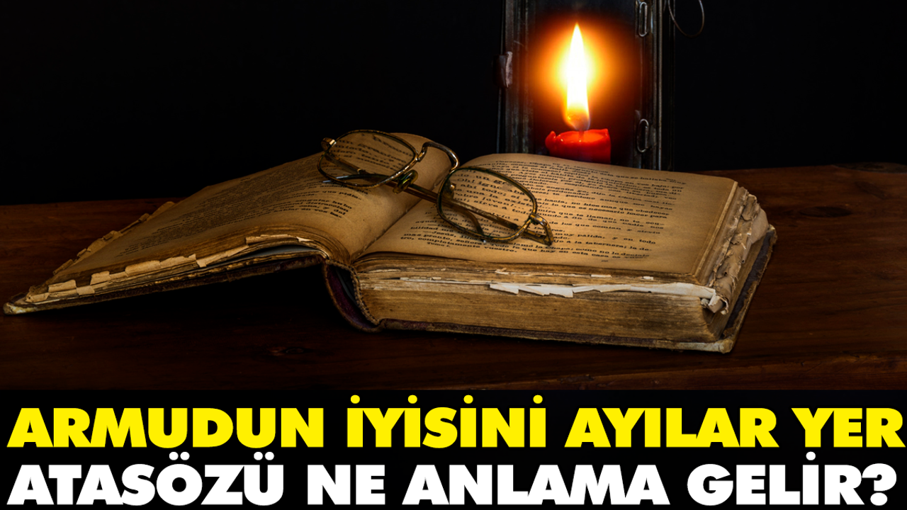 Armudun iyisini ayılar yer atasözü ne anlama gelir?