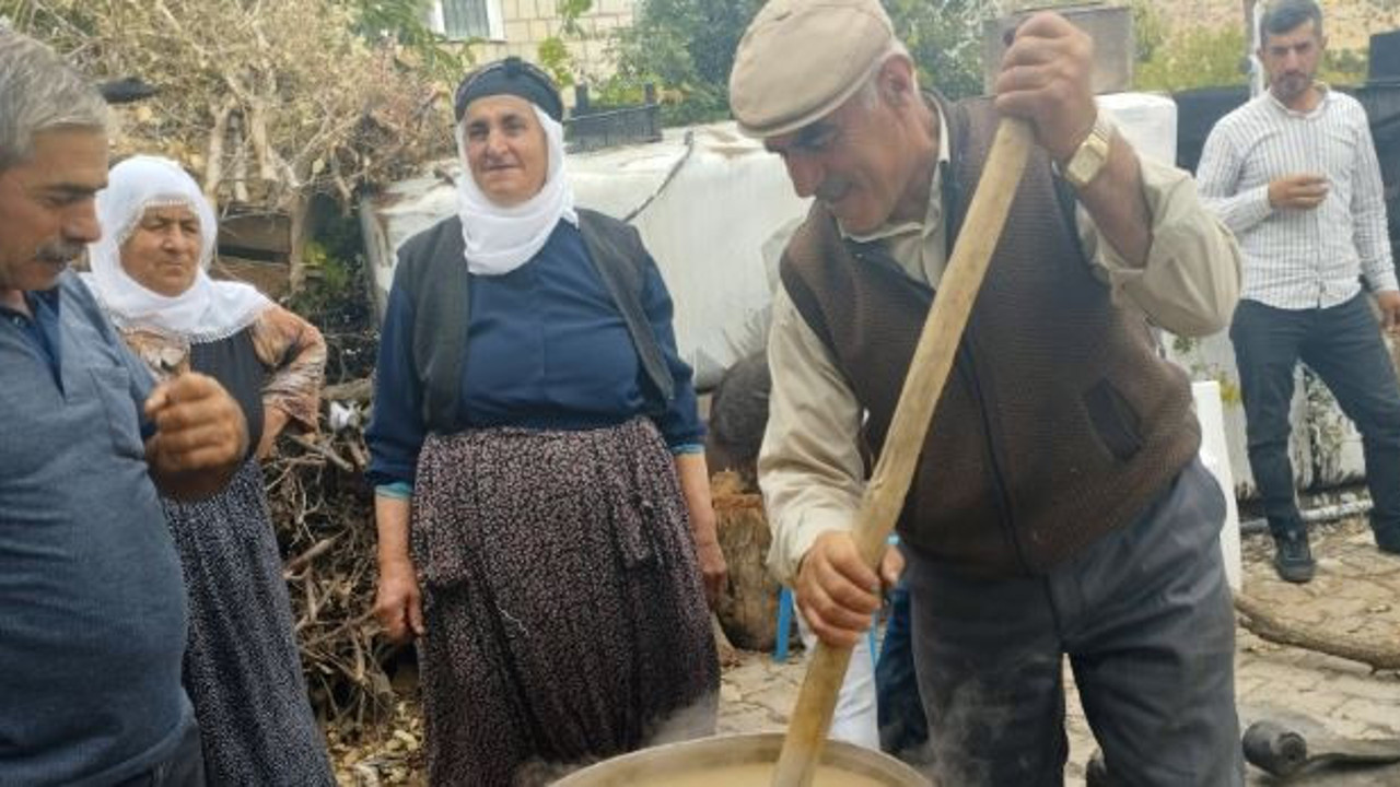 Mardin'de bağ bozumu başladı