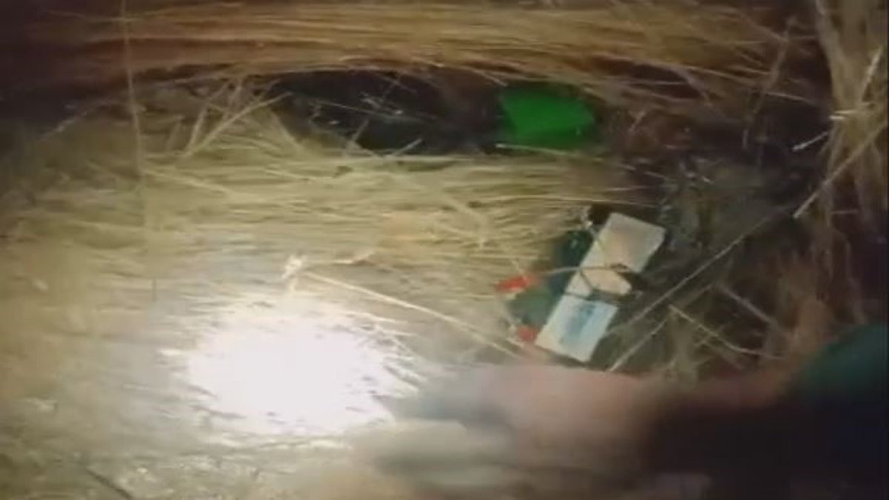 Konya’da bıldırcın sesi ile avlanmaya ceza