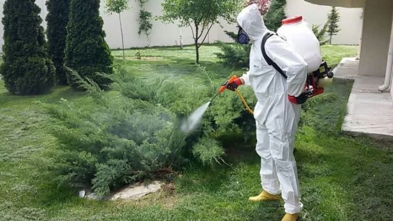 Bilim insanları yeni tehlikenin adını duyurdu. Türkiye'nin her yerinde cirit atıyorlar