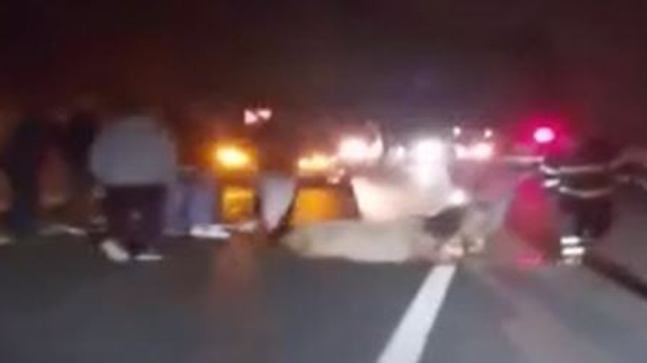 Otomobil atları biçti. 3'ü telef oldu