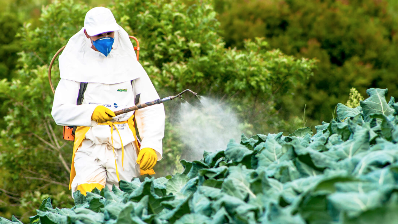 Komşuda 19 can aldı rotasını Türkiye’ye çevirdi. Kabus hortladı