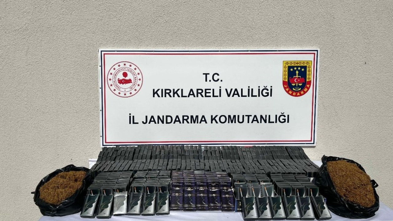 Kırklareli’nde 164 bin 485 kök kenevir ele geçirildi