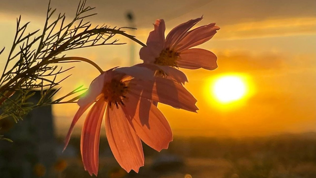 Ağrı'da kartpostallık gün batımı