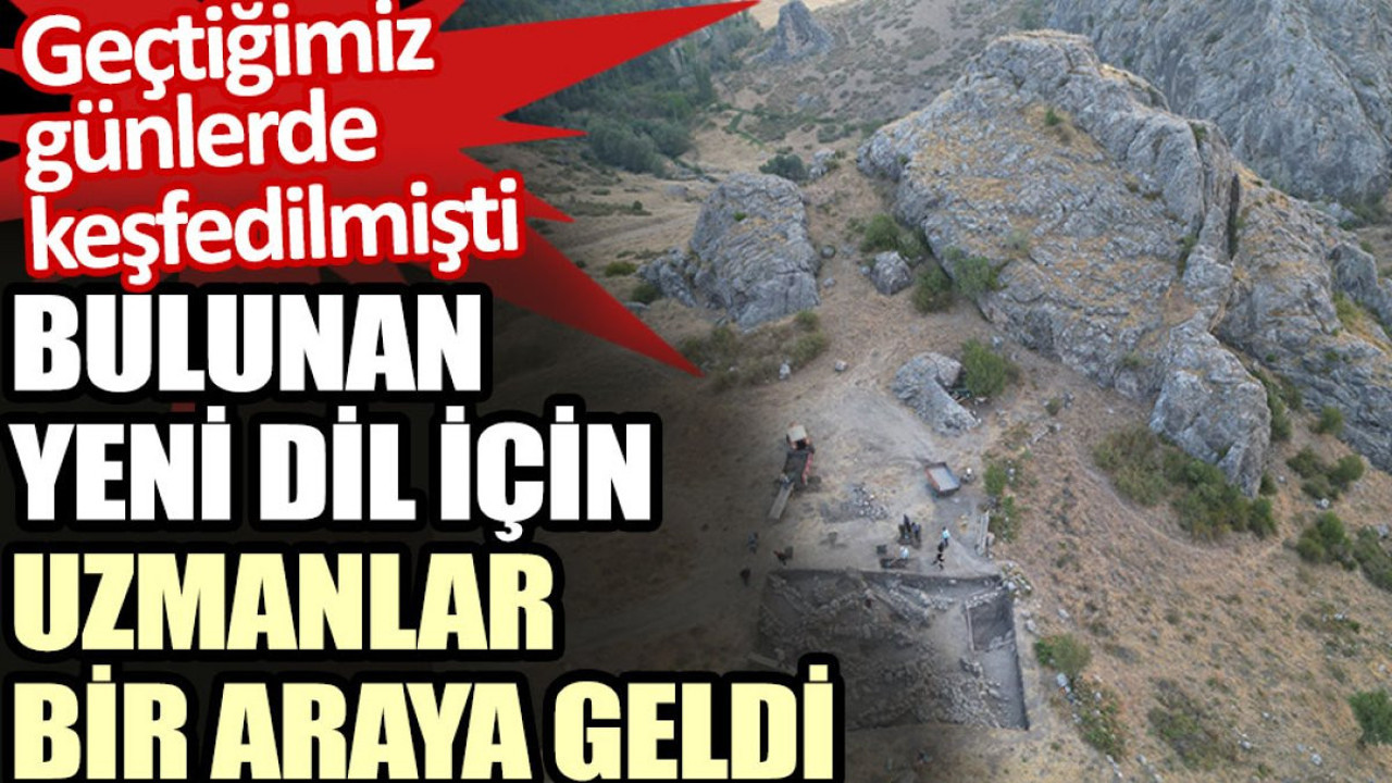Bulunan yeni dil için uzmanlar bir araya geldi. Geçtiğimiz günlerde keşfedilmişti