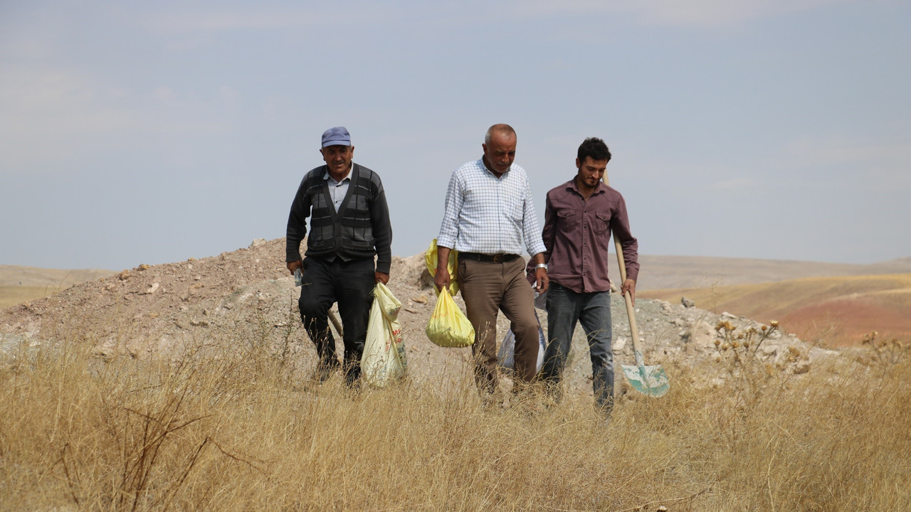 Köylü toprağın altından çıkartıyor kilosunu 10 TL'ye satıyor. Yaraları bant gibi kapatıyor