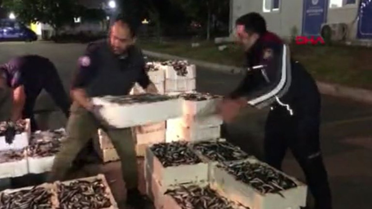 Balık halinde denetim: 3 kişiye 49 lira ceza