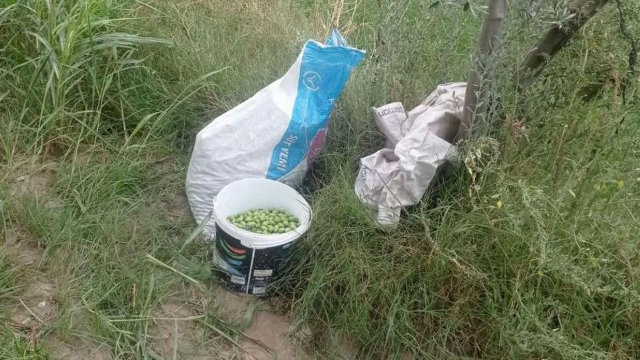 Kuyucak'ta zeytin hırsızları suçüstü yakalandı