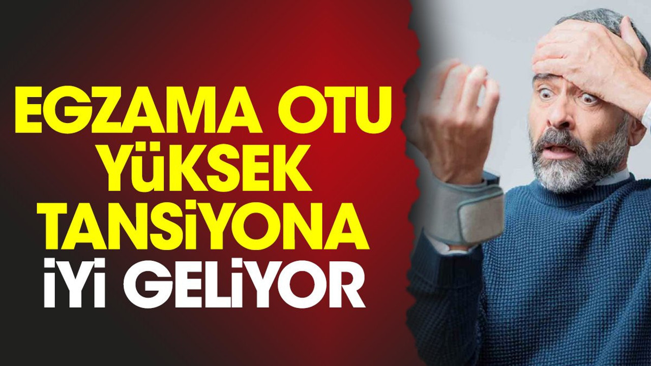 Yüksek tansiyona iyi gelen mucize ot (10 Ekim 2023)