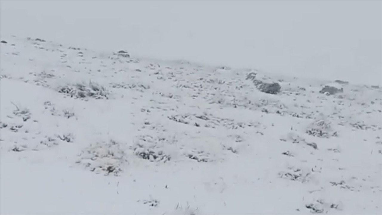 Artvin'in yüksek kesimleri beyaza büründü