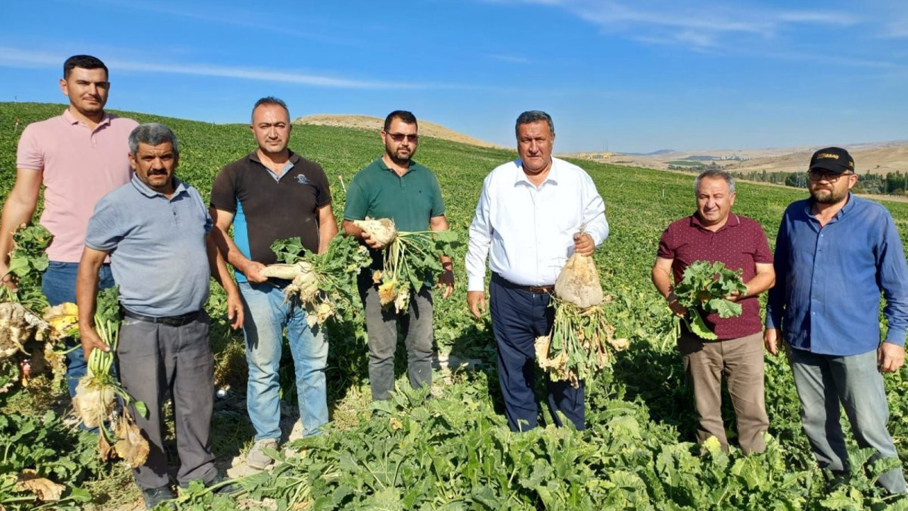 Şeker pancarında taban fiyat talebi: 16 polar için yetersiz