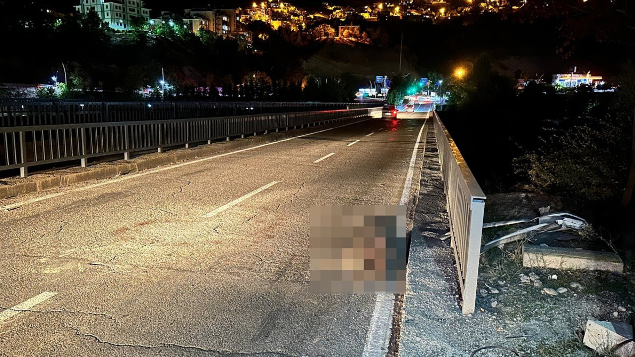 İki otomobil yola inen sürüye daldı