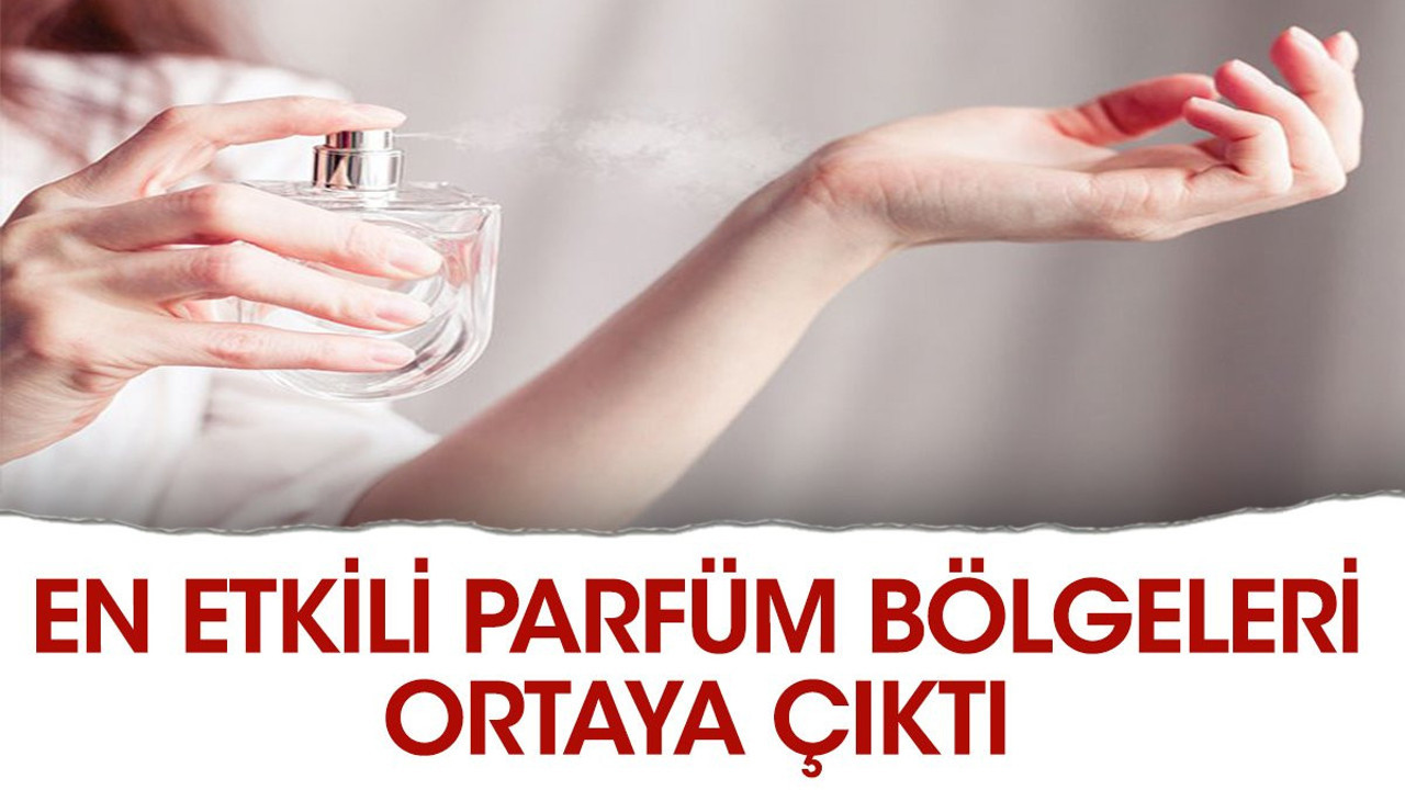 En etkili parfüm bölgeleri ortaya çıktı