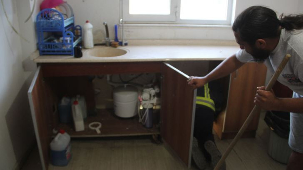 Kargo şirketine girdi personel gözlerine inanamadı