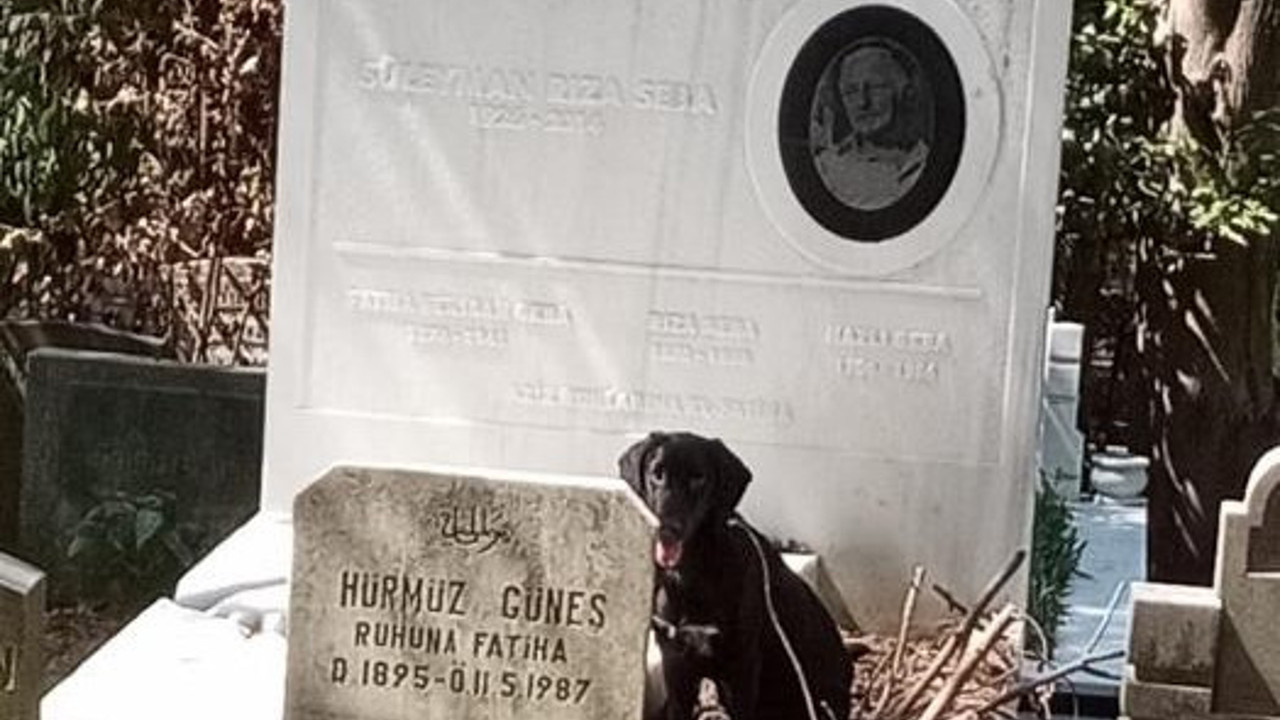 Süleyman Seba’nın mezarını tahrip ettiler