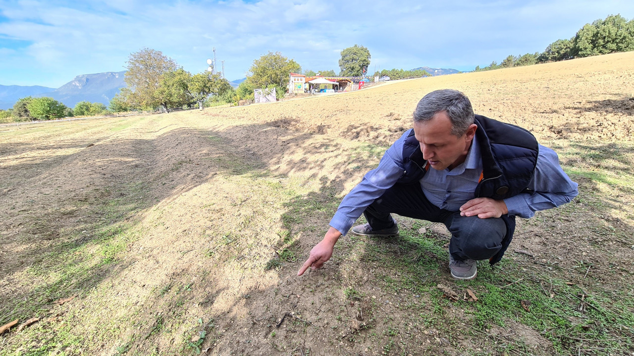 Mutluluk iksirinin hasadı bu sene rötar yaptı. Kanserin öksürüğün kökünü kazıyor