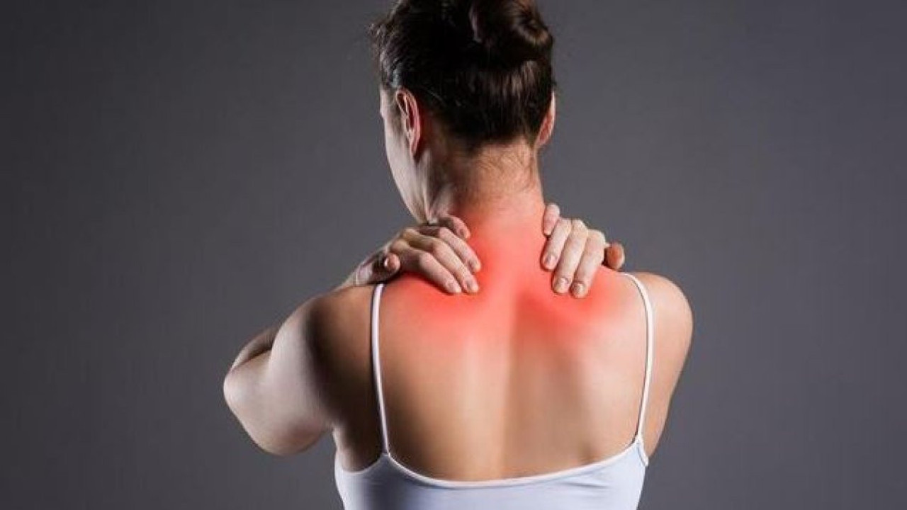 Kasları gevşeten bitkiler ortaya çıktı (14 Ekim 2023)