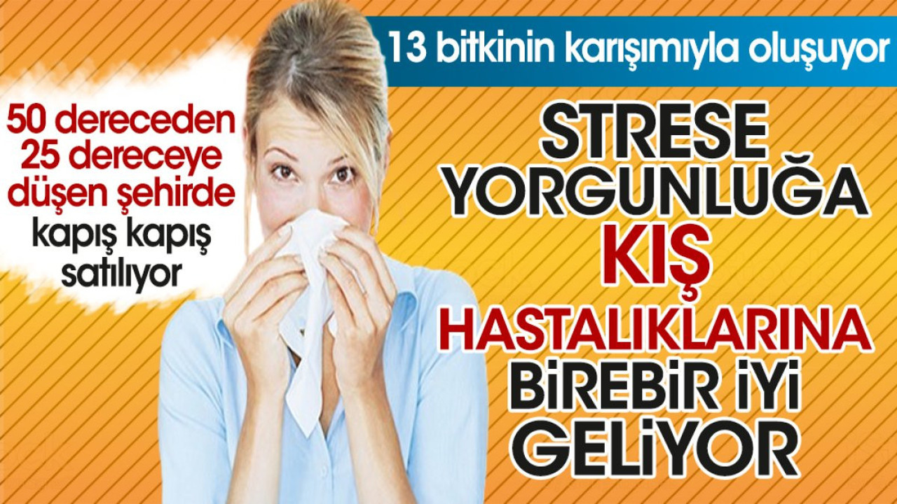 13 bitkinin karışımıyla oluşuyor. Strese yorgunluğa kış hastalıklarına birebir iyi geliyor
